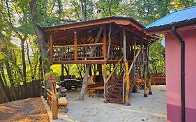 Alen Mak Forest Hotel
